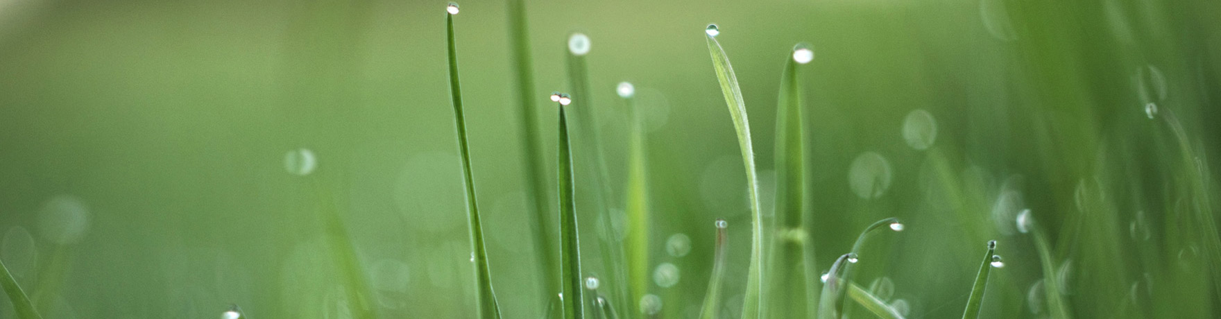 能源企業(yè)畫冊設(shè)計