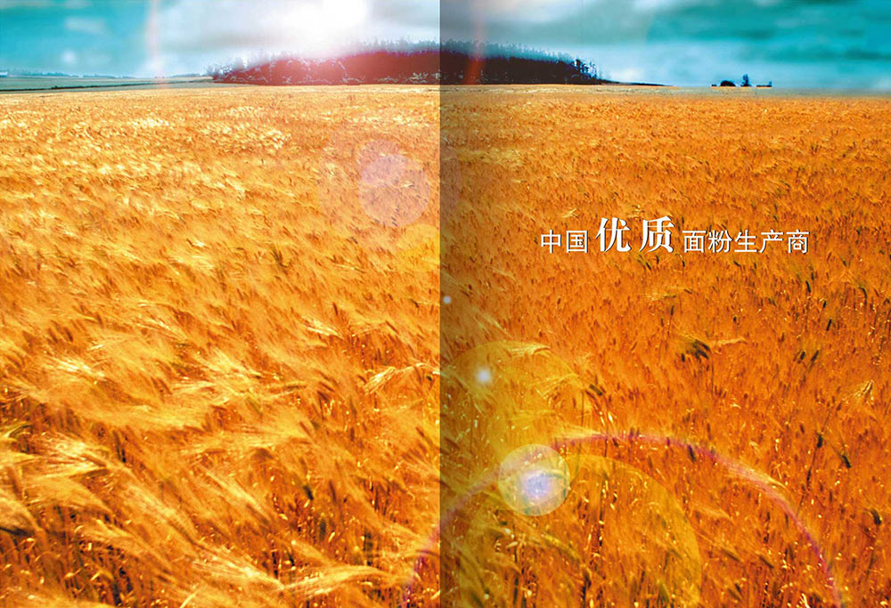 食品畫冊(cè)設(shè)計(jì)