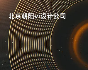 北京朝陽(yáng)vi設(shè)計(jì)公司